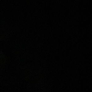 Meet your Posher, Ally